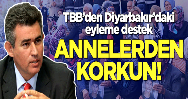 Türkiye Barolar Birliği'nden Diyarbakır'daki eyleme destek: Annelerden korkun!