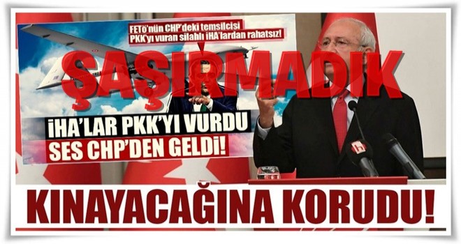 Kınayacağına korudu!