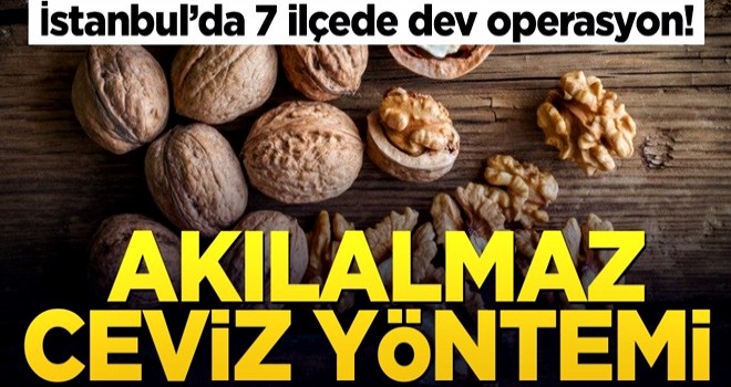 İstanbul'da 7 ilçede dev operasyon! Akılalmaz ceviz yöntemi