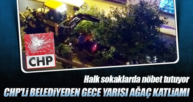 Tekirdağ’da CHP’li belediyenin ağaç katliamı son anda önlendi