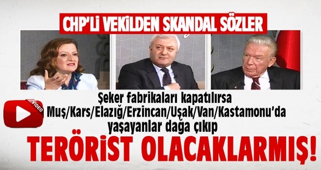 CHP'li Melike Basmacı'dan skandal sözler: Dağa çıkıp terörist olacaklar...