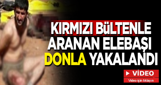 Kırmızı bültenle aranan terörist donla yakalandı