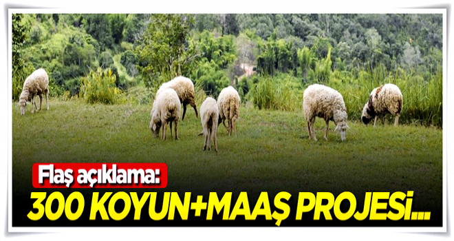 300 koyun+maaş projesi hakkında flaş açıklama