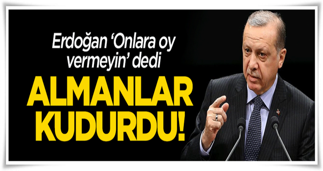 Erdoğan 'onlara oy vermeyin' dedi, Almanlar kudurdu!