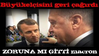 Başkan Erdoğan'ın sözleri zorlarına gitti! Büyükelçiyi çağırdılar