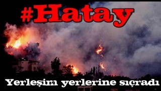 Hatay'daki yangında son durum!