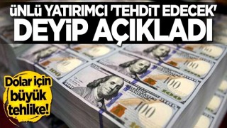 Ünlü yatırımcı açıkladı: Dolar için büyük tehlike