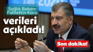 30 Kasım Türkiye'de koronavirüs bilançosu