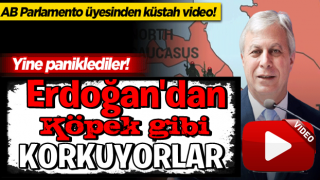 AB Parlamento üyesinden küstah video! Yine paniklediler! Erdoğan çağrısı