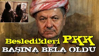 Besledikleri PKK başlarına bela oldu! Barzani acil kodlu çağrı yaptı