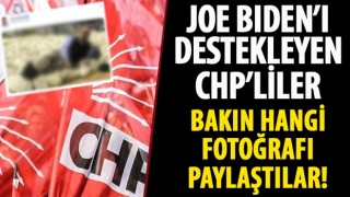 Joe Biden'ı destekleyen CHP'liler Mahmut Tanal'ın oy torbaları üzerinde yattığı fotoğrafı paylaşıyor