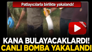 Mardin'de bombalı eylem hazırlığındaki Suriye uyruklu bir terörist yakalandı