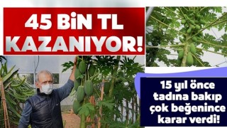 15 yıl önce tadına bakıp çok beğenince karar verdi! 45 bin TL kazanıyor