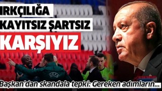 Cumhurbaşkanı Erdoğan ırkçılıkla ilgili tweet attı