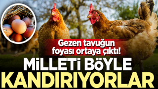 Gezen tavuğun foyası ortaya çıktı! Milleti böyle kandırıyorlar