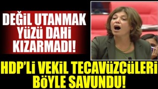 HDP'li vekil tecavüzcüleri savundu!