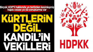 Kürtlerin değil Kandil’in vekilleri