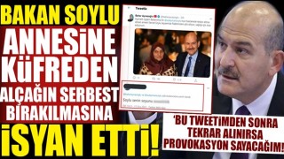 Bakan Soylu'dan sitem dolu mesaj