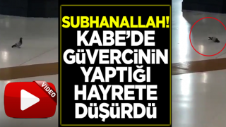 Subhanallah! Kabe'de güvercin yaptığıyla hayrete düşürdü