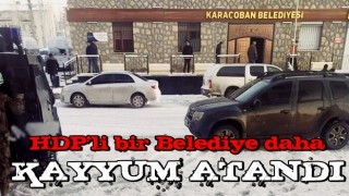 Bir belediyeye daha kayyum atandı