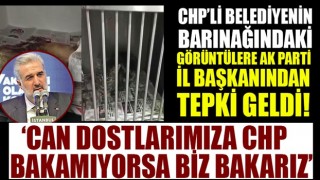 CHP'li belediyenin barınağındaki skandal görüntülere AK Parti İl Başkanı'ndan tepki!