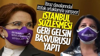 Meral Akşener'den, İstanbul Sözleşmesi'nin iptali için Danıştay'a başvuru