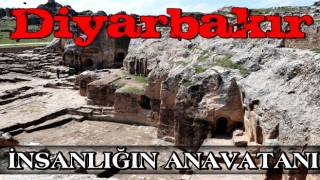 Diyarbakır’daki Hilar Mağaraları ve Çayönü’nde kazı başlıyor