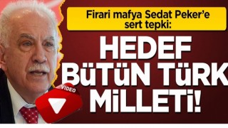 Doğu Perinçek'ten Sedat Peker'e tepki! 'Hedef bütün Türk milleti'