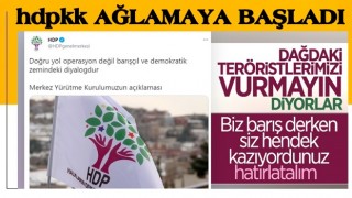 HDP, TSK'nın Irak'ın kuzeyindeki operasyonlarını eleştirdi