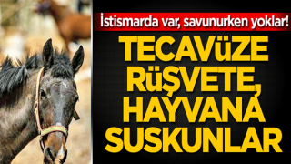 İstismarda var, savunurken yoklar! Tecavüze rüşvete, hayvana suskunlar