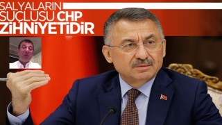 Fuat Oktay, müsilaj sorunu ile ilgili açıklama yaptı