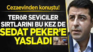 Terör seviciler sırtlarını bu kez de Sedat Peker'e yasladı!