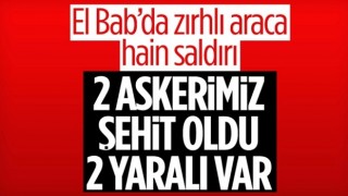 Fırat Kalkanı bölgesinde 2 askerimiz şehit oldu