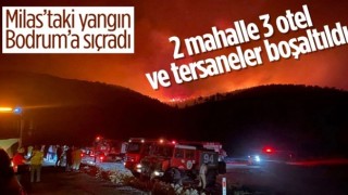 Bodrum'da orman yangını