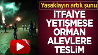 Havai fişek attılar! İtfaiye yetişmese orman yanıyordu