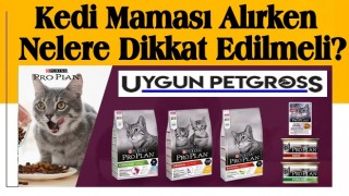 Kedi Maması (Konserve, Ödül, Açık, Kuru) Alırken Nelere Dikkat Edilmeli?