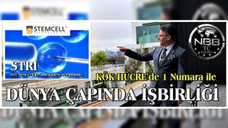 Kök Hücre Teknolojisinin 1 numarası ile Dünya çapında işbirliği..