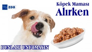 Köpek Maması (Ödül, Açık, Kuru, Yaş, Konserve) Alırken Bunları Unutmayın!