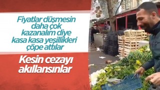 Sebze halindeki taze soğan ve kıvırcıkların çöpe atıldığı görüldü