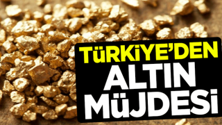 Türkiye'den altın müjdesi