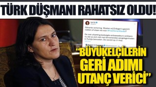 Büyükelçilerin geri adımı Türk düşmanı Kati Piri'yi rahatsız etti