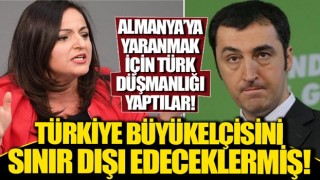 Cem Özdemir ve Sevim Dağdelen'den 10 büyükelçi kararına tepki