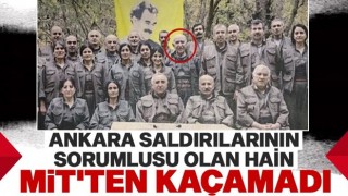 PKK’nın sözde kurucularından Ali Haydar Kaytan öldürüldü