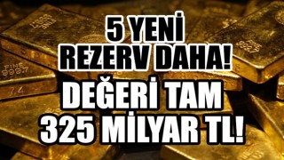 Türkiye'den 5 yeni altın rezervi müjdesi daha! Değeri tam 325 milyar TL'yi buluyor!