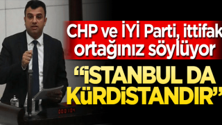 CHP ve İYİ Parti'nin ittifak ortağından skandal sözler! "İstanbul da 'Kürdistan'dır..."