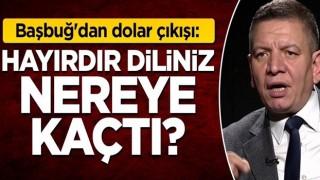 Coşkun Başbuğ'dan dolar çıkışı: Hayırdır diliniz nereye kaçtı?