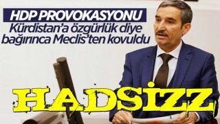 HDP'li vekile TBMM'de 'Kürdistan'a özgürlük'