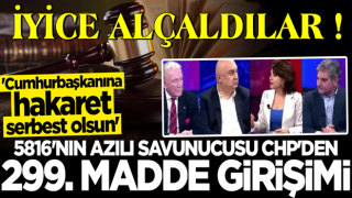 CHP: Cumhurbaşkanına hakaret maddesi TCK'dan kaldırılsın