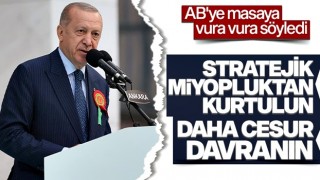 Cumhurbaşkanı Erdoğan'ın AB büyükelçileri toplantısı konuşması