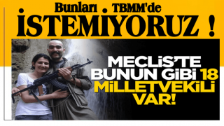 Meclis'te 18 tane Semra Güzel var! İşte terörist akrabası olan milletvekilleri